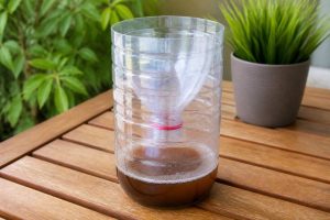 Fabriquer un piège anti moustique tigre : méthodes simples et efficaces à la maison