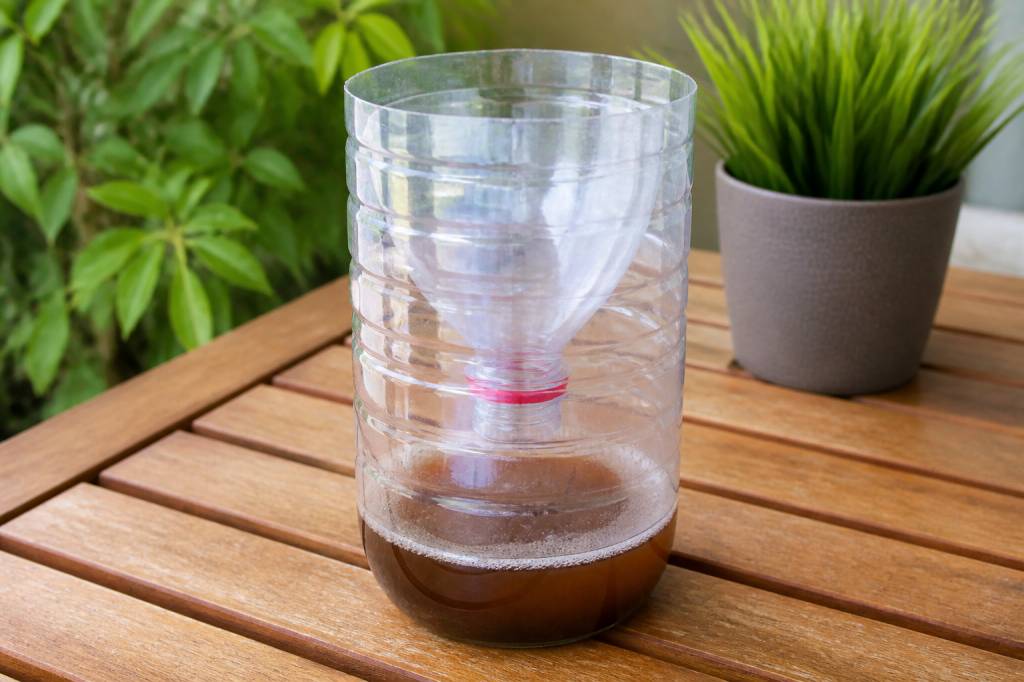 Fabriquer un piège anti moustique tigre : méthodes simples et efficaces à la maison